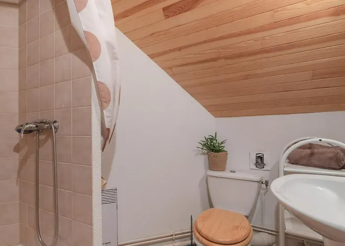 Διαμέρισμα Triplex A Saint-lary, 4 Chambres, 9 Pers, Balcon, Parking, Wifi Optionnel - Fr-1-296-287